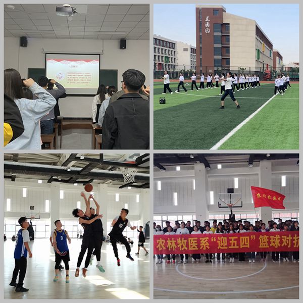 1620273768923970.jpg 健身操2_副本_副本_副本.jpg